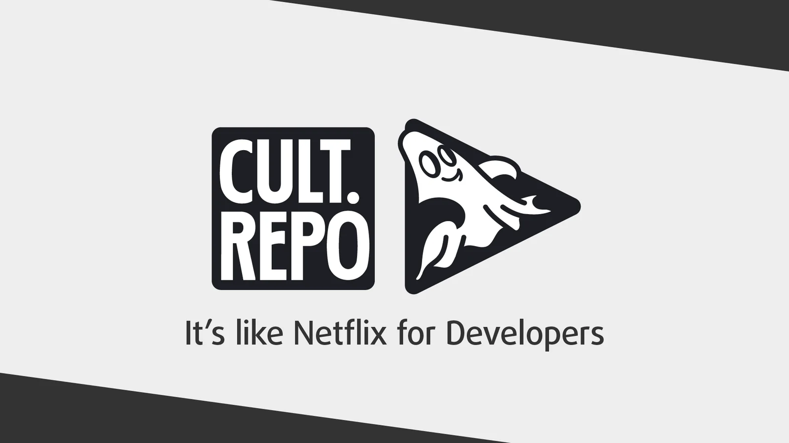 Logo exploration with the line 'It's like Netflix for Developers'